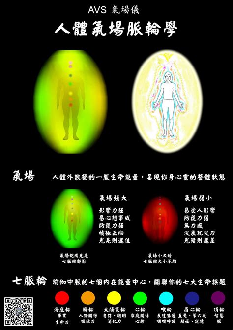 氣場儀原理|AVS氣場儀設計原理